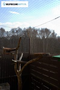 osiatkowanie tarasu trzebinia dla kota, zabezpieczenie tarasu siatka przeciw wypadnieciu kota, siatki dla kota na taras montaz trzebinia, ochrona kota na tarasie
