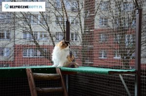 siatka dla kota na taras, montaz siatki przeciw wypadnieciu kota, ochrona kota siatka krakow, zabezpieczenie tarasu kot