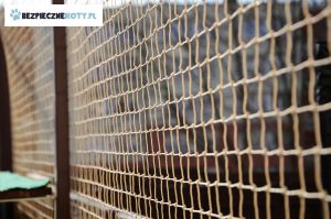 siatka dla kota taras krakow, montaz siatek ochronnych dla kota, zabezpieczenie tarasu siatka dla kota, osiatkowanie kota taras