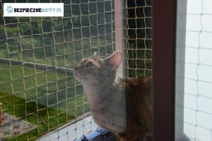 konstrukcja stalowa siatka dla kota, montaz siatki balkon kot, zabezpieczenie balkonu siatka przeciw wypadnieciu kota, osiatkowanie konstrukcja