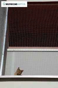 siatka dla kota konstrukcja stalowa, montaz siatek ochronnych, zabezpieczenie przed wypadnieciem kota, osiatkowanie dla kota krakow