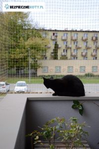 siatka dla kota czarnego balkon krakow, zabezpieczenie kota siatka, montaz siatek przeciw wypadnieciu kota, ochrona tarasu kot krakow