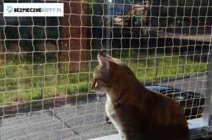 koty za siatka balkon konstrukcja, zabezpieczenie przeciw wypadnieciu kotow, siatka ochronna dla kota montaz, osiatkowany balkon