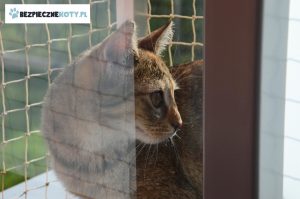 montaz siatki dla kota balkon, zabezpieczenie przed wypadnieciem kota, siatka konstrukcja stalowa balkon, osiatkowanie balkon kot