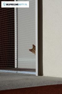 montaz siatki konstrukcja stalowa kot, zabezpieczenie kota siatka, osiatkowanie balkon dla kota, siatki dla kota krakow