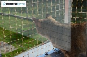 siatka na balkonie montaz konstrukcja stalowa, kot zabezpieczenie siatka balkon, osiatkowanie kot krakow, siatki ochronne