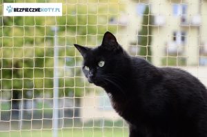 montaz siatek czarny kot krakow, zabezpieczenie tarasu siatka, siatka przeciw wypadnieciu kota krakow, osiatkowanie kota