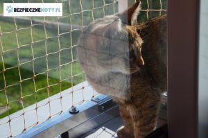 osiatkowany balkon kot konstrukcja, montaz siatek dla kota balkon, stalowa rama balkon kot, zabezpieczenie kota krakow