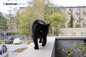 taras zabezpieczony dla kota krakow, montaz siatki przeciw wypadnieciu kota, siatki dla kota czarnego, osiatkowanie krakow