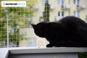 ochrona kota krakow, taras osiatkowany siatka dla kota, montaz siatek dla kota czarnego, zabezpieczenie kot krakow